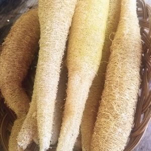 Natural Loofah's
